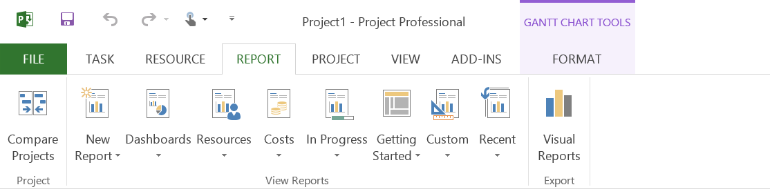 New Reports in Ms Project 2013