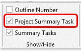 WBS_Project Summary Task